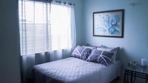 Cozy Studio Apartment in Kingston